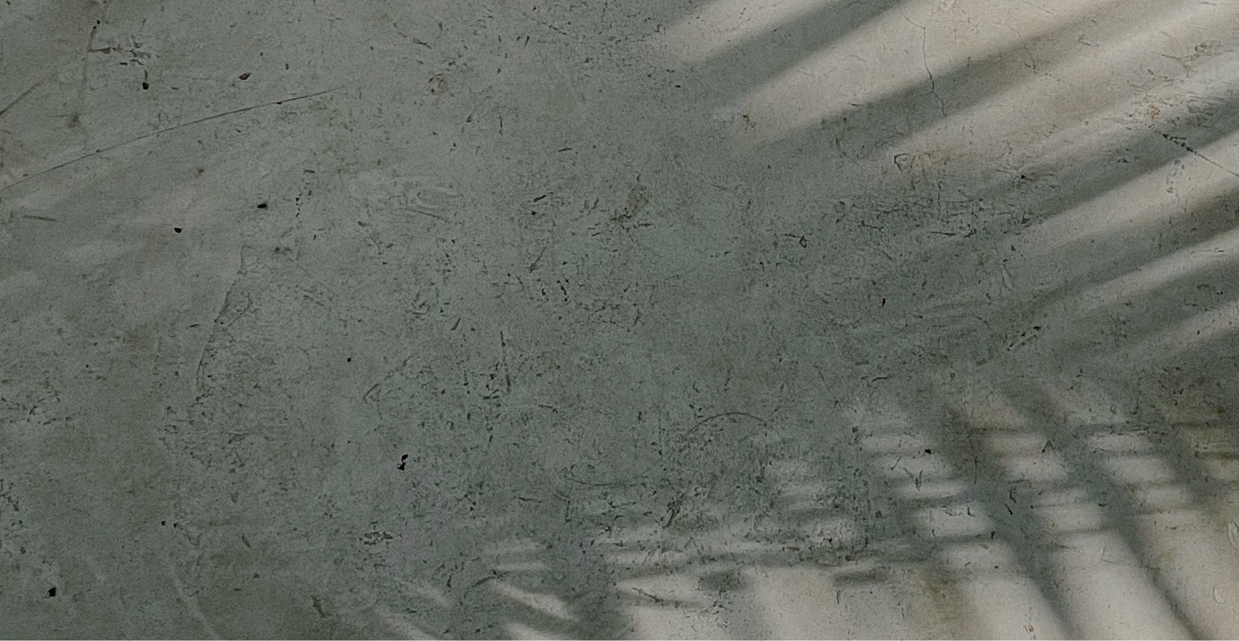 Shadow of a frond on pale green background